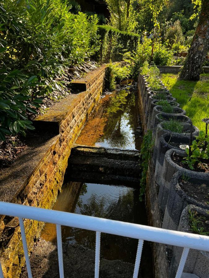 Laicas Lodge Dirbach Εξωτερικό φωτογραφία