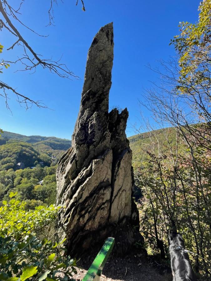 Laicas Lodge Dirbach Εξωτερικό φωτογραφία